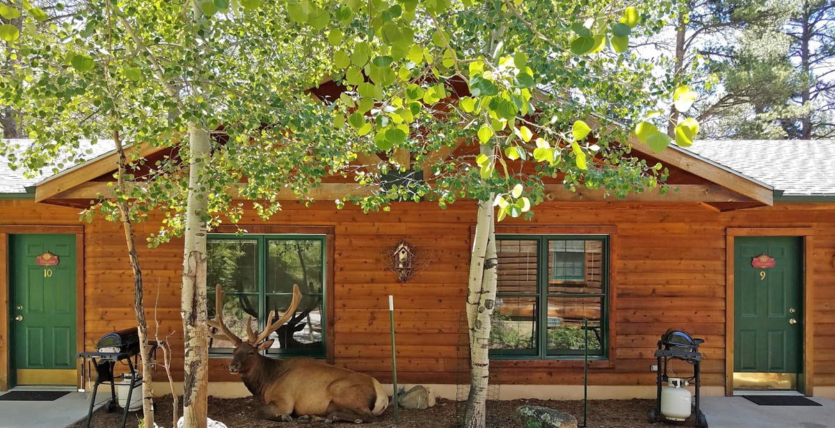 Rocky Mountain National Park Vacation Cabins The Evergreens On